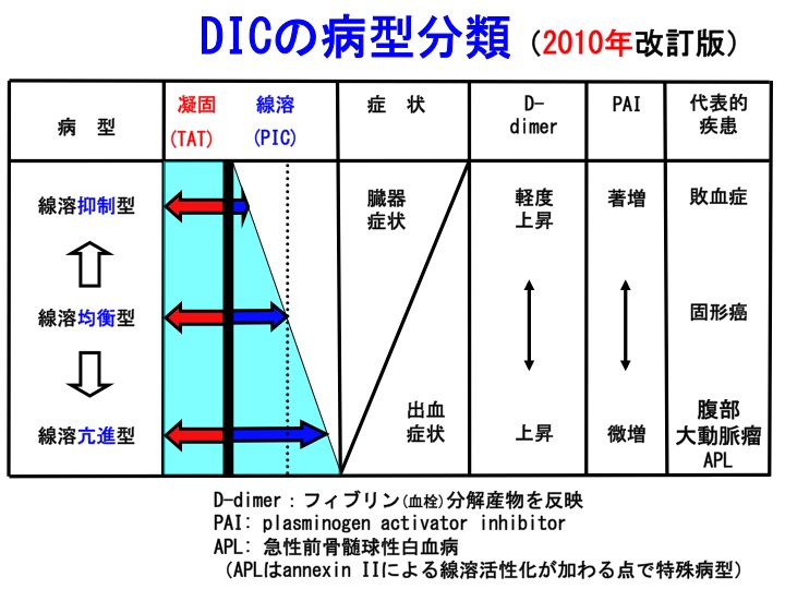 DICa^2010