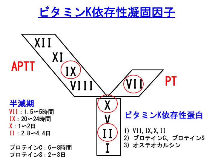 tÌŌ16