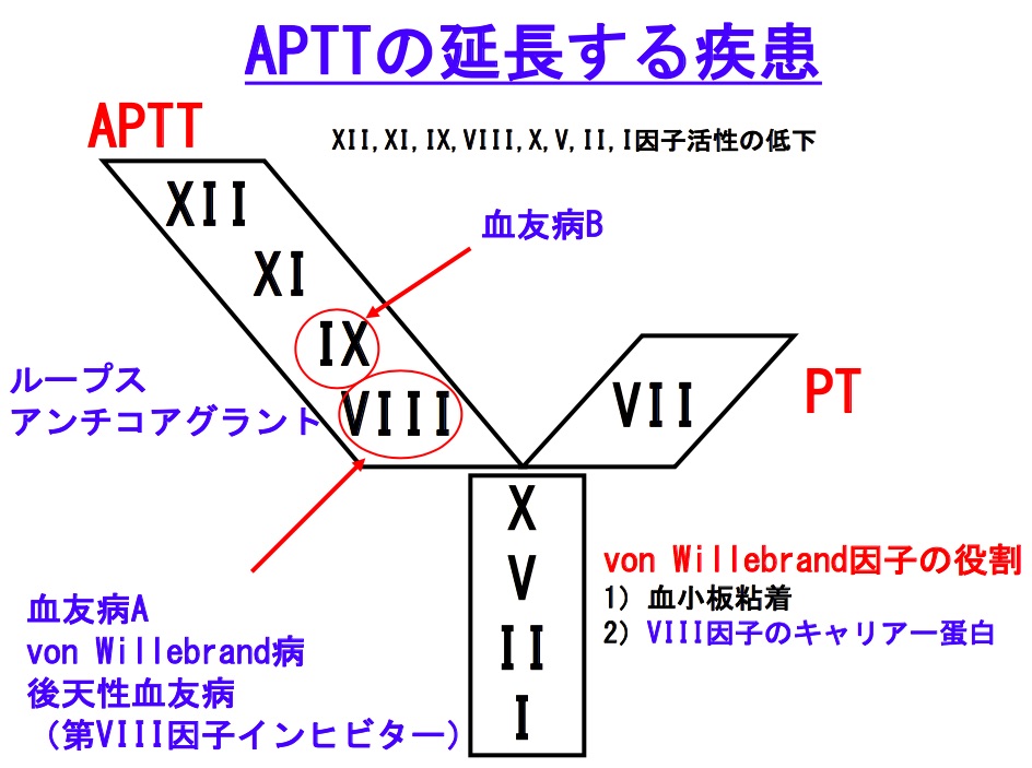 APTT