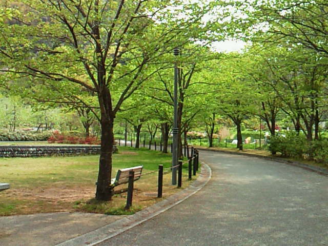 公園３