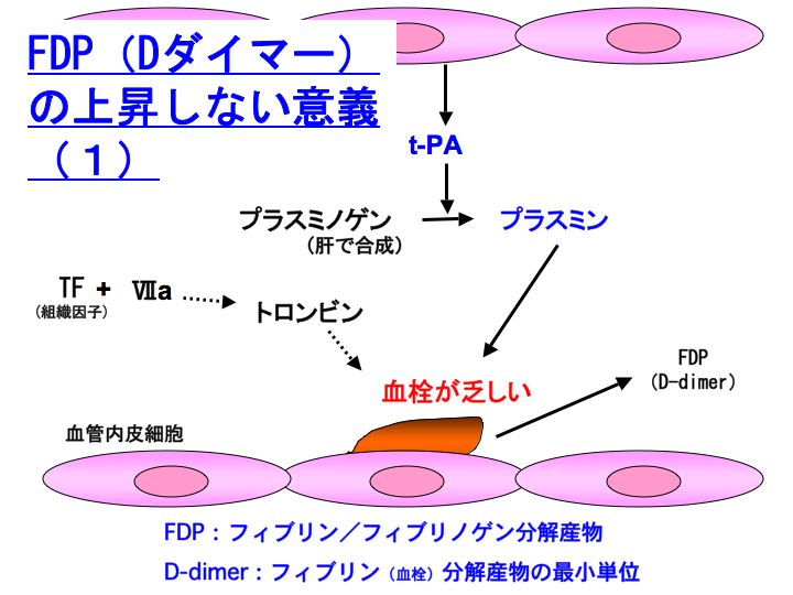 D ダイマー 高値